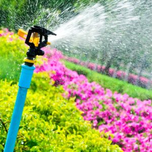 irrigation systems services