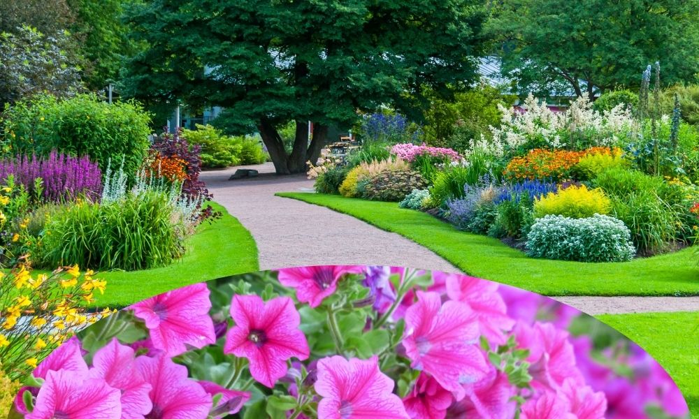 landscaping near me landscaping near me