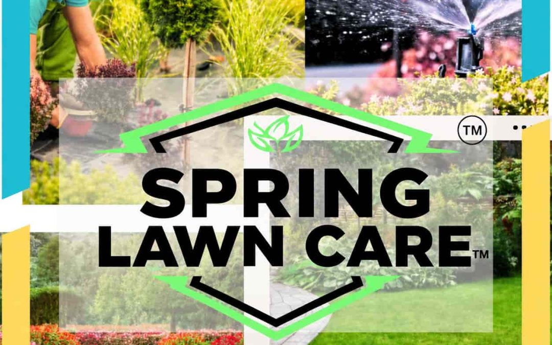 Artificial Grass Houston