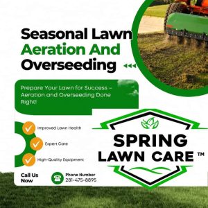 Lawn Aeration Service